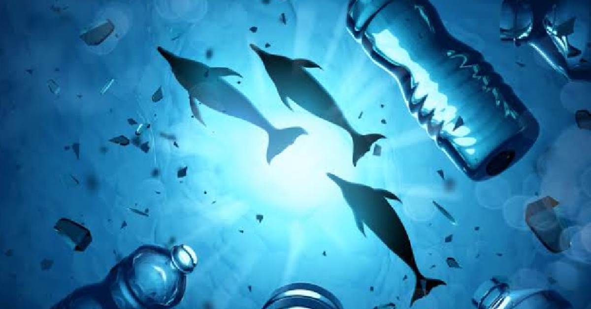 2020’deki çalışmanın sonucuna göre 496 balık türünün yüzde 65’inin bağırsağında mikroplastik bulundu