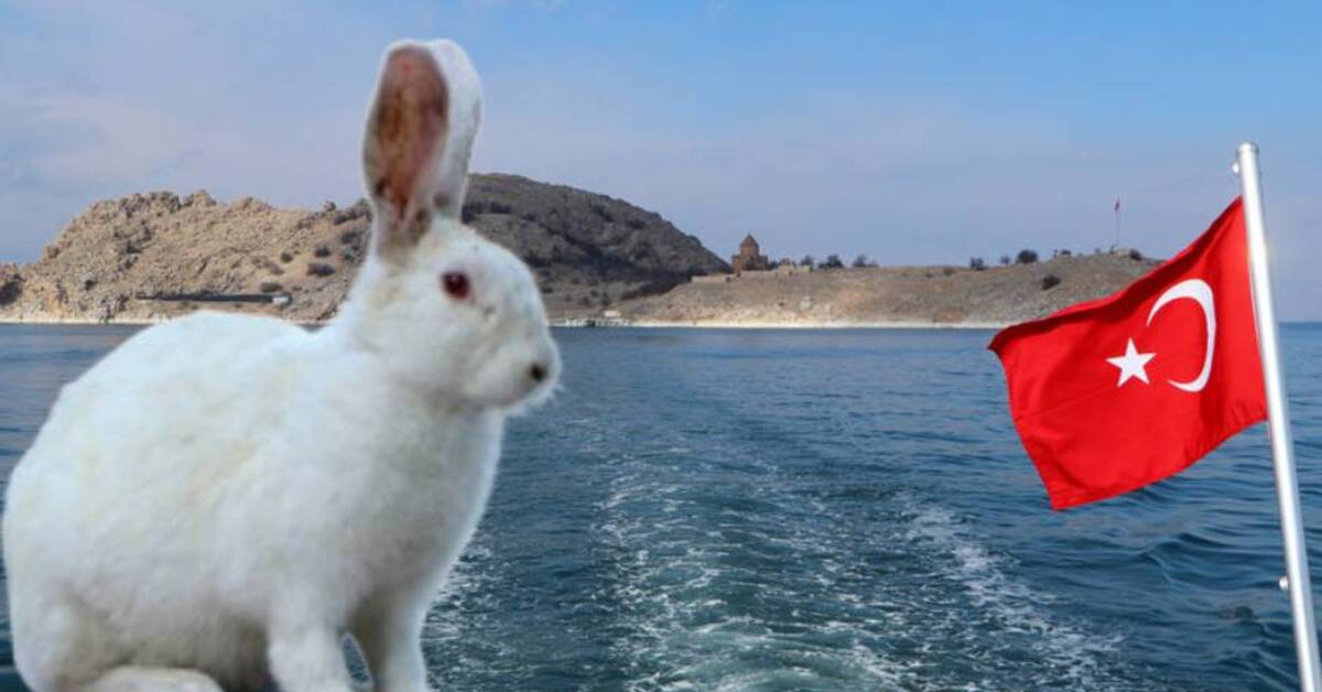 Dr. Özel: “Akdamar Adası’na zarar veren tavşanlara acil çözüm bulunmalı”