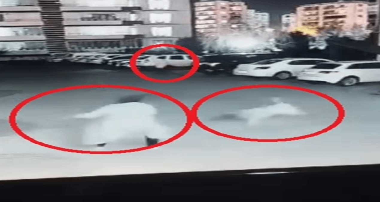 Siteye giren sokak köpeği, anne ve çocuğuna saldırdı
