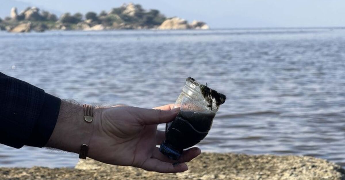 Su seviyesi artan Bafa Gölü’nde kirlilik azalmadı: Bazı bölümleri kızıla büründü